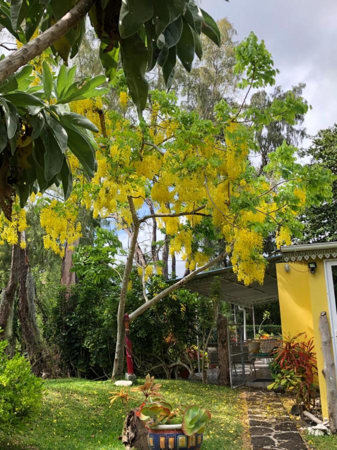 Case Cassia Riambel المظهر الخارجي الصورة
