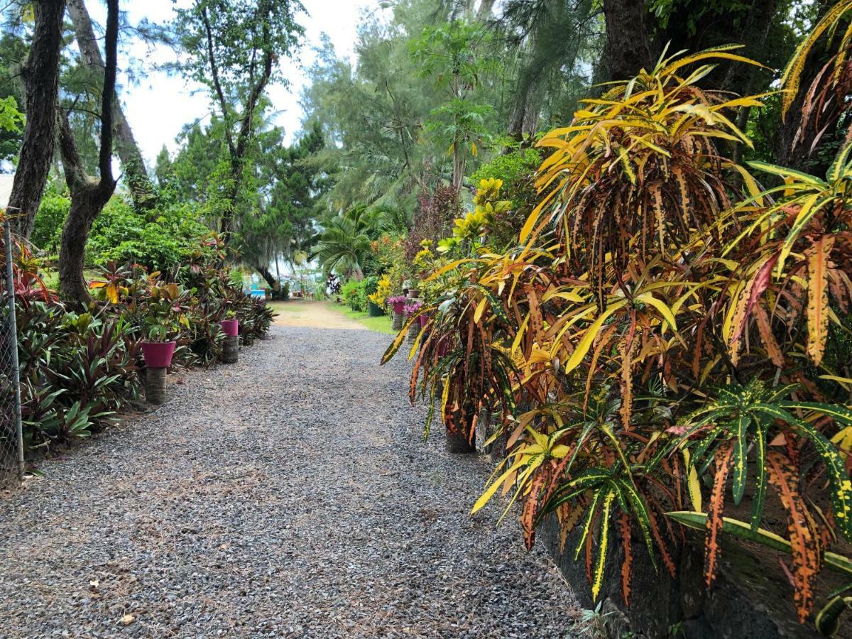 Case Cassia Riambel المظهر الخارجي الصورة