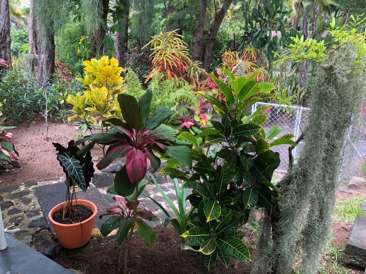 Case Cassia Riambel المظهر الخارجي الصورة